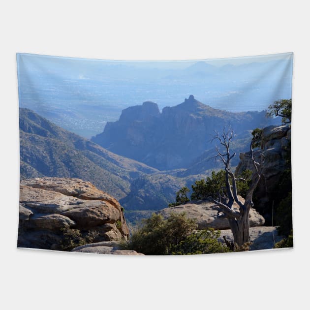 Mountain Vista Tapestry by Drgnfly4free