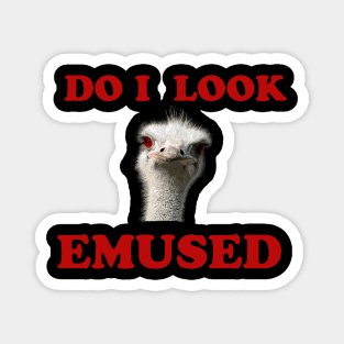 Funny Do i look EMU-SED Not Amused angry Ostrich Bird Magnet