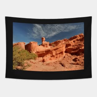 Argentine - Quebrada de las Conchas Tapestry