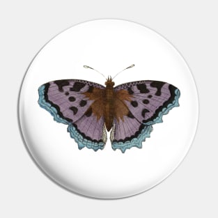 Beautiful Purple Tortoise Shell Butterfly Pin