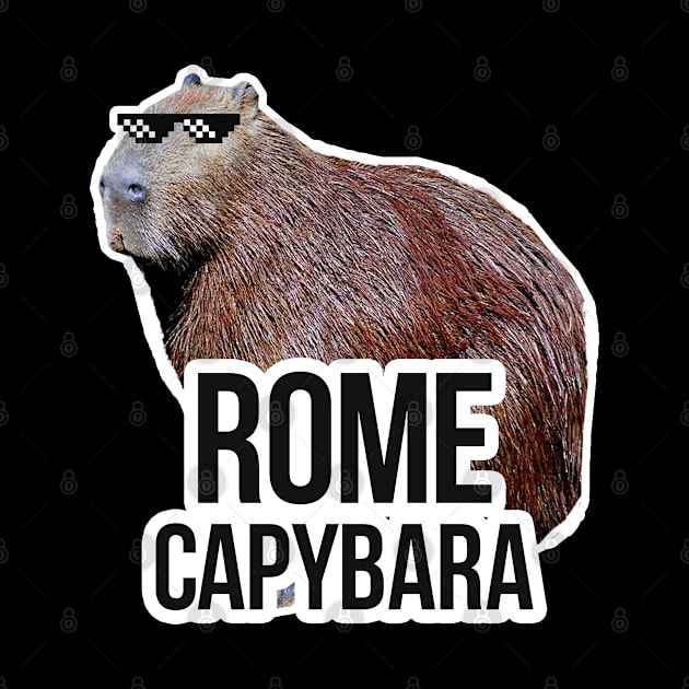 Rome capybara meme by NeedsFulfilled