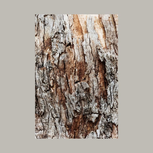 Rustic Orange & Brown Tree Trunk - Alternative by textural