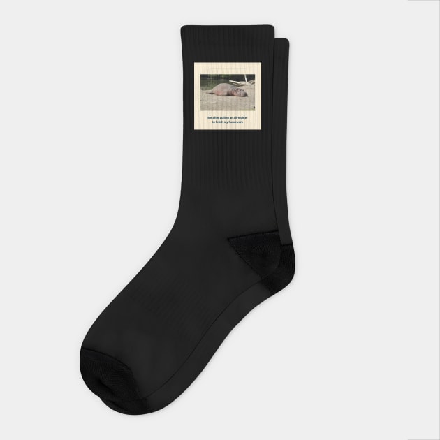 Homework Socks by TEENIE DESIGN