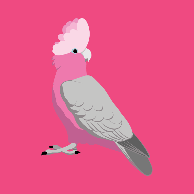 Galah pink cockatoo by Zolinstudio