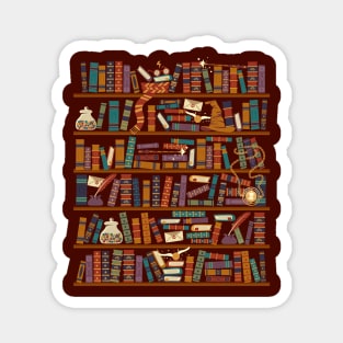 Bookshelf Magnet