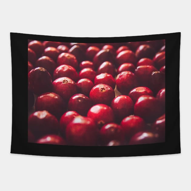 Cranberry Grain Tapestry by hextrovert