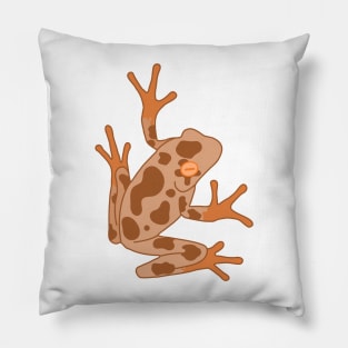 Chocolate Bull Frog Pillow