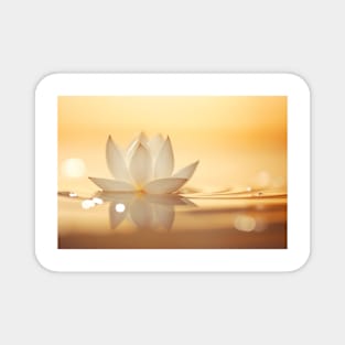 Lotus Flower Petal Nature Serene Calm Magnet