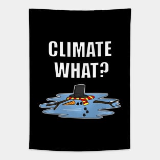 Climate What Melted Snowman Christmas 2020 Funny Tapestry