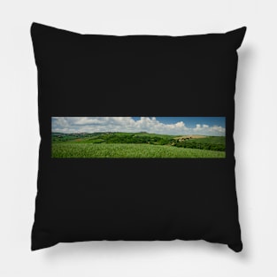 Panorama of green Tuscan fields in late summer Pillow