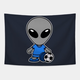 Soccer Football Gray Alien Extraterrestrial Tapestry