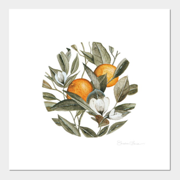 Orange Blossom Oranges Affiche Et Impression D Art Teepublic Fr