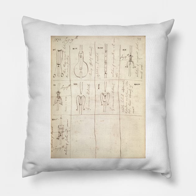 Faraday on electromagnetism, 1823 (C015/4891) Pillow by SciencePhoto