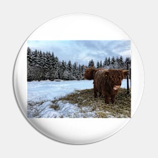 Scottish Highland Cattle Cow and Calf 1647 Pin