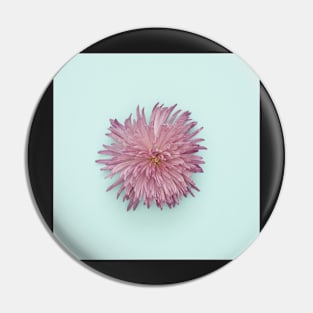 Isolated Flower on Turquoise Pin