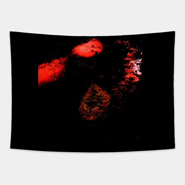 Digital collage and special processing. Dark, scary place in woods. Hole. Red and orange. Tapestry by 234TeeUser234