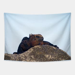 SUNBATHING LIZARD Tapestry