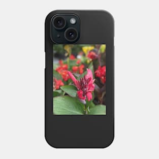 Pink Flower Blooming in Large Leaves 2 Phone Case