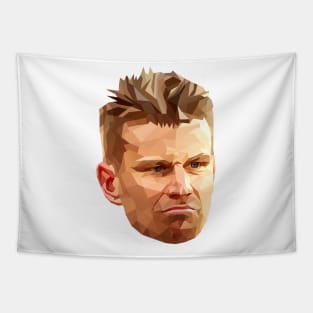 Nico Huuuuulkenberg Tapestry