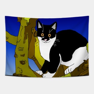 Cute Tuxedo Cat sitting in a tree  Copyright TeAnne Tapestry