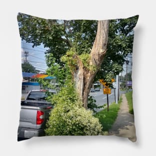 The tree in front of my house Pillow