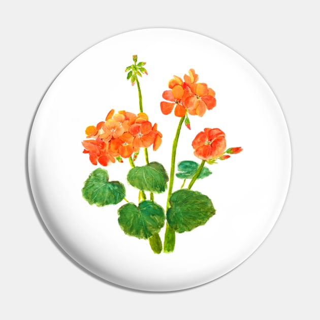 orange geranium flowers watercolor Pin by colorandcolor