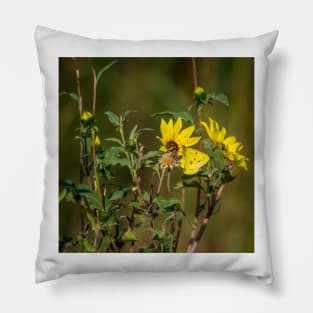 Yellow on Yellow by Debra Martz Pillow