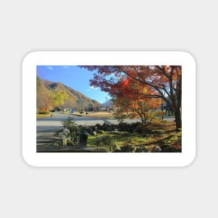 The Beauty Of Colorful Nature at The Momiji Moment 1 Magnet