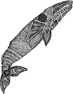 Gray Whale Sketch Magnet