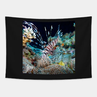 Lionfish on the Great Barrier Reef Tapestry