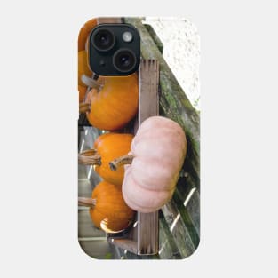 Halloween pumpkins in the potting shed Phone Case
