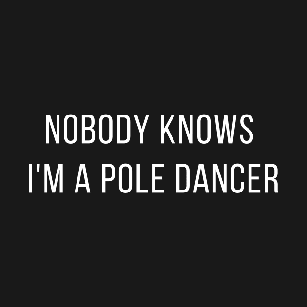 Nobody Knows I'm a Pole Dancer - Pole Dance Design by Liniskop