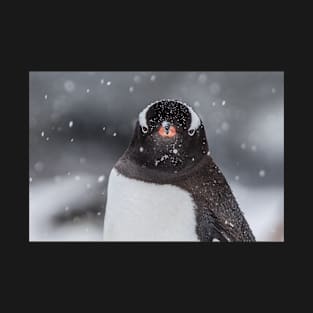 Gentoo Penguin T-Shirt