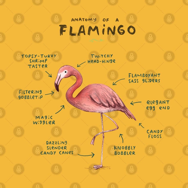 Anatomy of a Flamingo by Sophie Corrigan