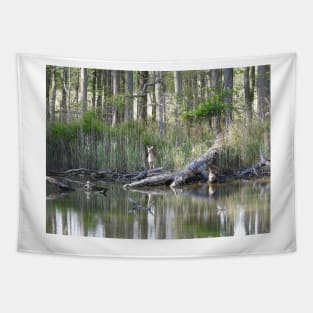 Whitetail deer, wild animal, wildlife gifts Tapestry