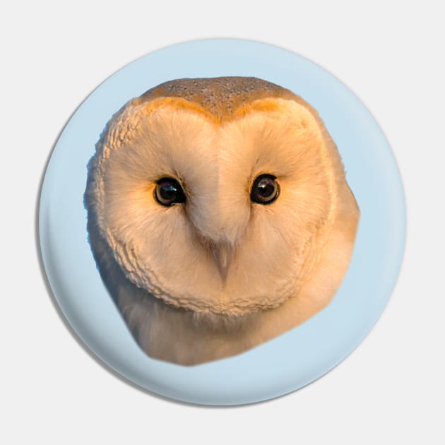 Barn Owl Face Pin by dalyndigaital2@gmail.com