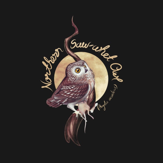 Northern Saw-whet Owl by JadaFitch