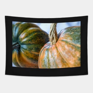 Acorn and Nugget Squash Tapestry