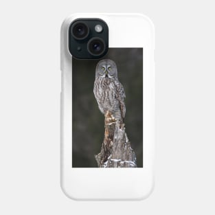 The Phantom - Great Grey Owl Phone Case