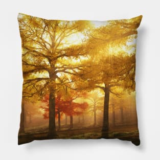 Autumn Land - Happy Little Trees Pillow