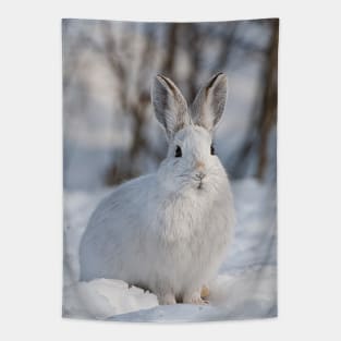 Snow Shoe Hare Tapestry