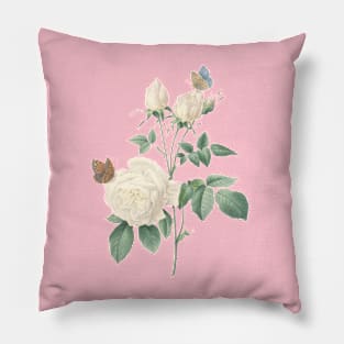 White Rose Flower with Butterflies Vintage Botanical Illustration Pillow