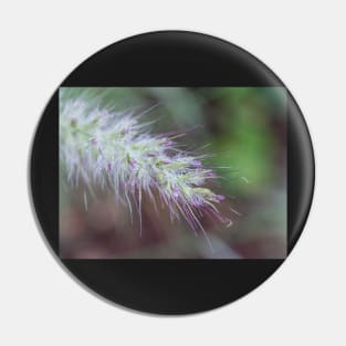 Miscanthus Pin