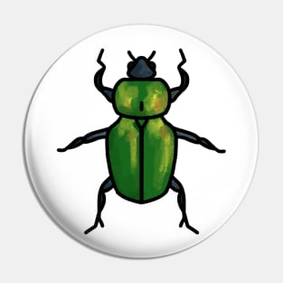 Beetle Pin