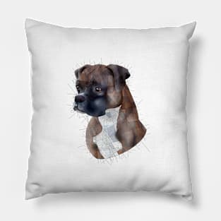 Boxer Pillow