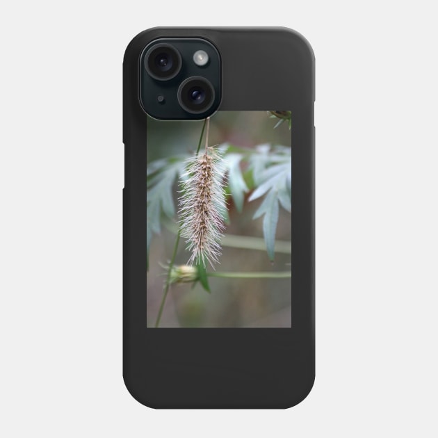 Seeds Phone Case by EileenMcVey