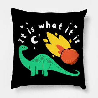 Funny Dinosaur Joke, End Of The World, Meteor Humor, Birthday Pillow