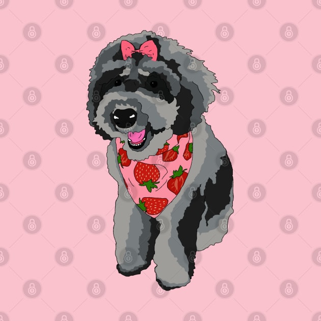 Schnoodle by Lydia's Green Light Closet 