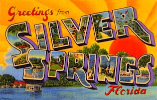 Greetings from Silver Springs, Florida - Vintage Large Letter Postcard Magnet