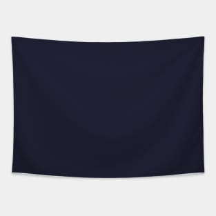 Southern Antarctic Ocean Blue Solid Color Tapestry